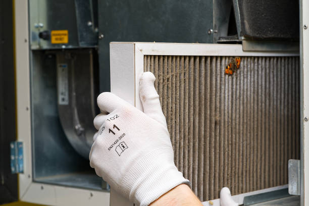 Best Residential Air Duct Cleaning  in Elkins Rk, PA