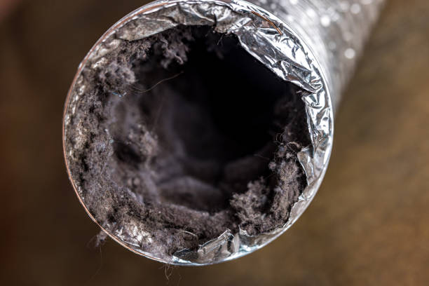 Best Best Air Duct Cleaning Company  in Elkins Rk, PA